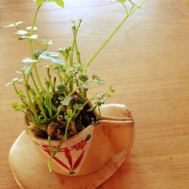 maimaiさんの実例写真