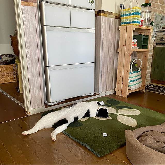 SHIHOさんの実例写真
