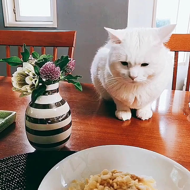 nyanko-beamさんの実例写真
