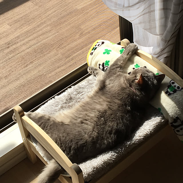 mk_0501さんの実例写真