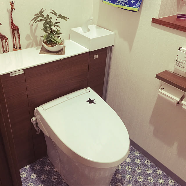 Aquaさんの実例写真