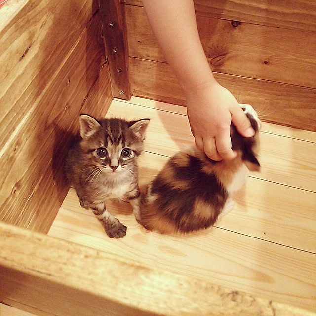 hisayuさんの実例写真