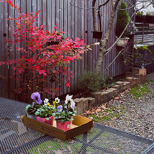 chacoさんの部屋