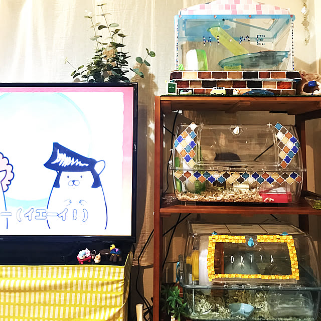tanumaさんの実例写真