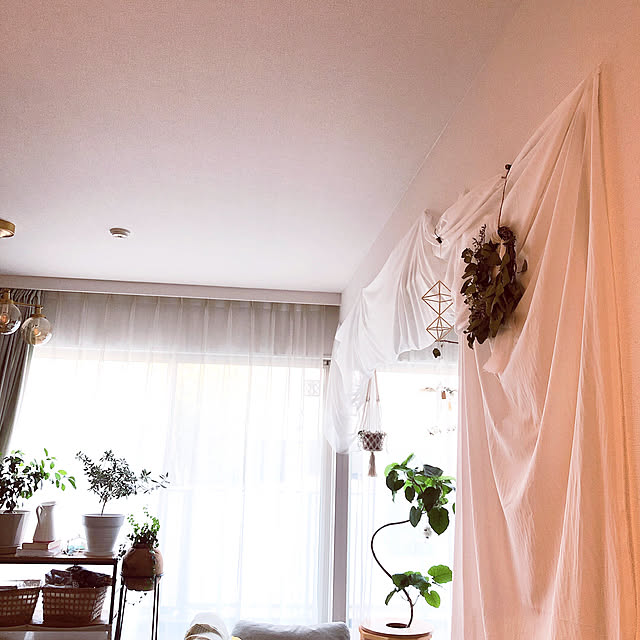 pechi.homeさんの実例写真