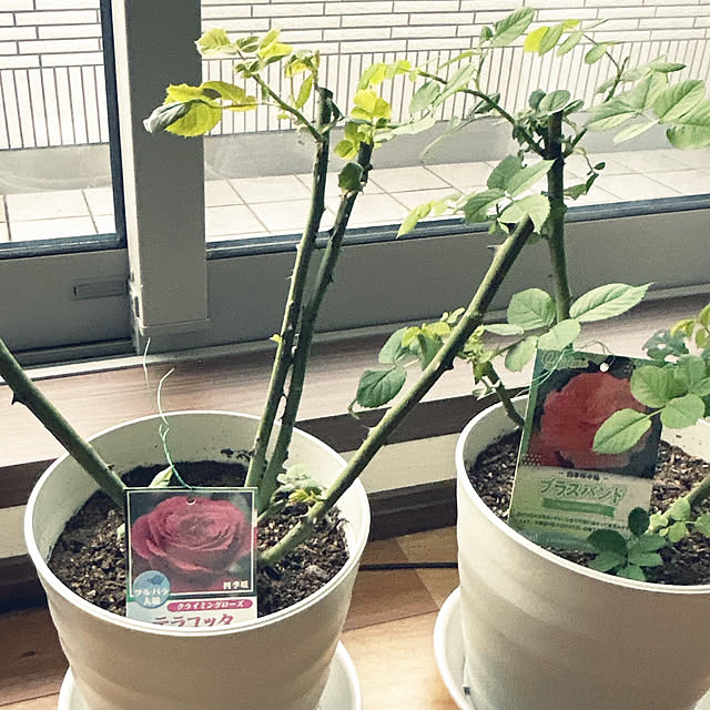 yunyumさんの部屋