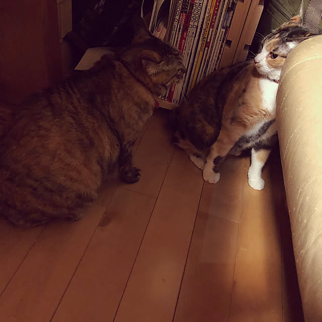 beemer2さんの実例写真
