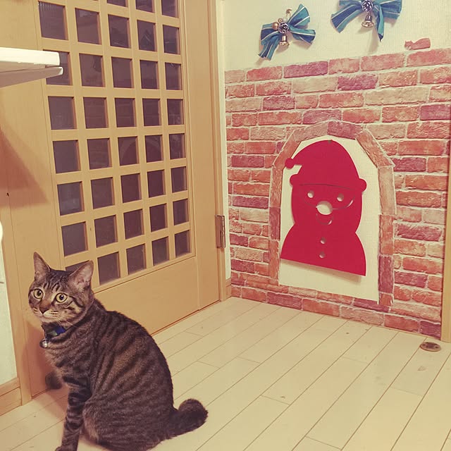 tlkooppさんの実例写真