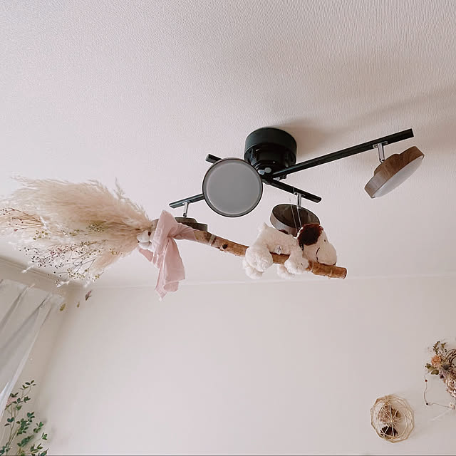akaNekoさんの部屋