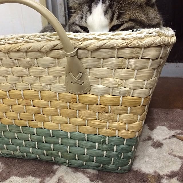 cherryさんの実例写真