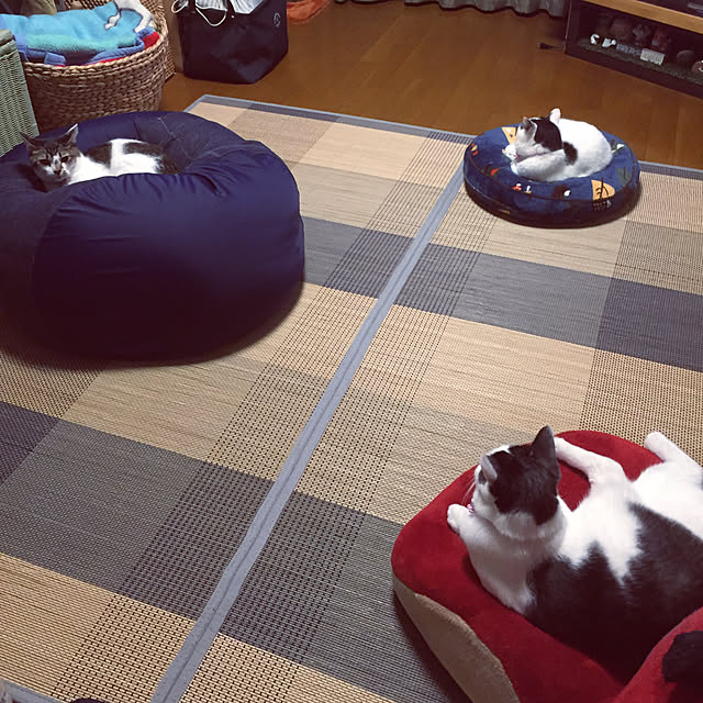 miiko3さんの実例写真