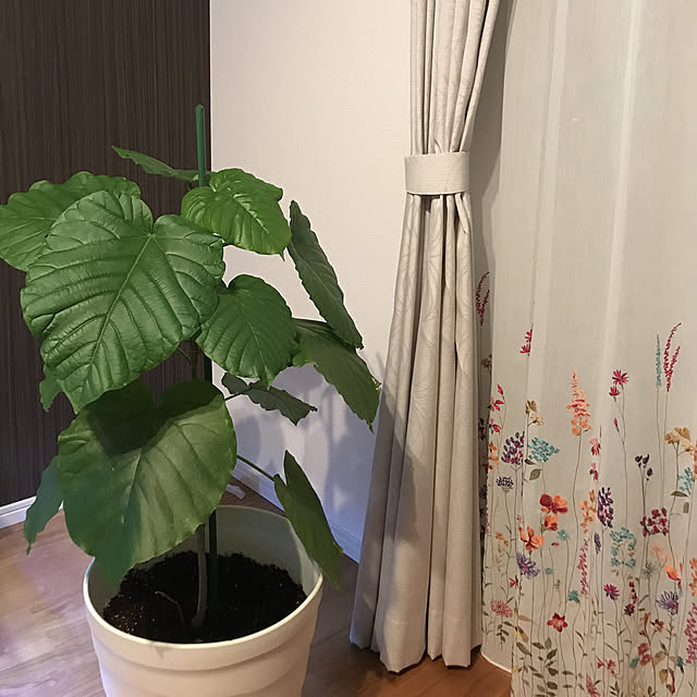 実例写真