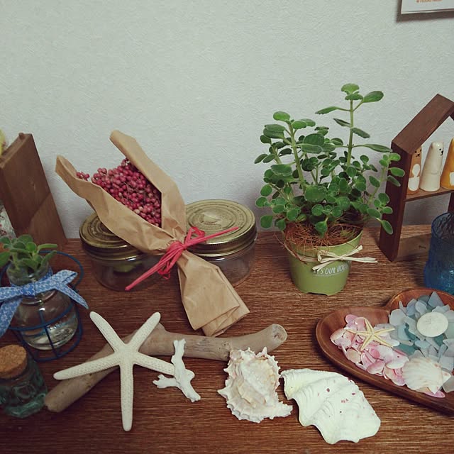 Ariyaさんの実例写真