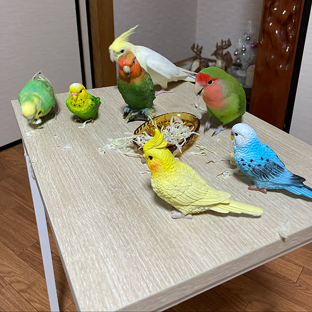 インコの置物/セリア/ミニサイドテーブル/カインズ/ペットと暮らす家...などのインテリア実例 - 2021-12-11 18:25:29