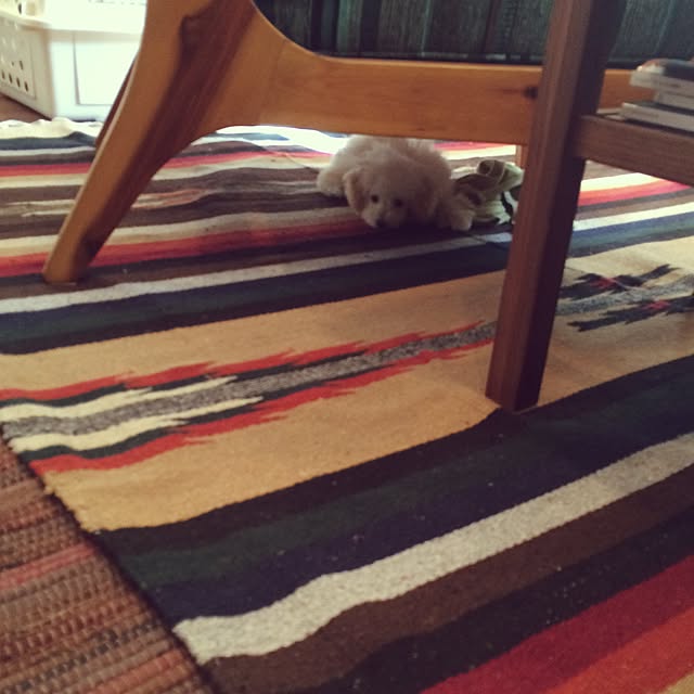 kazuminhaさんの実例写真