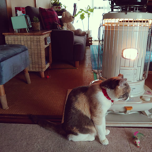 fukuさんの実例写真