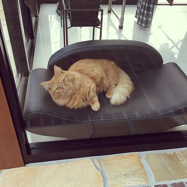 rintomoさんの実例写真