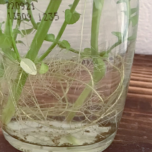 mi-saさんの部屋