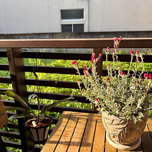 kyoko1124koさんの部屋