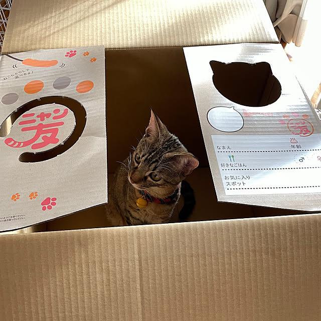 niko.mamさんの部屋