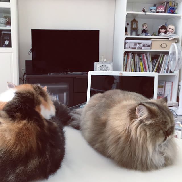 rukaさんの実例写真