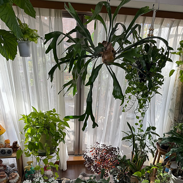 Aqettyさんの部屋