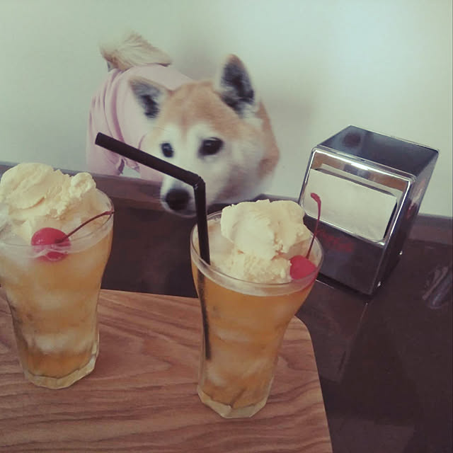 usa.momoさんの実例写真