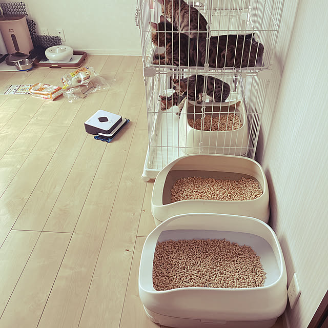 garikoさんの実例写真