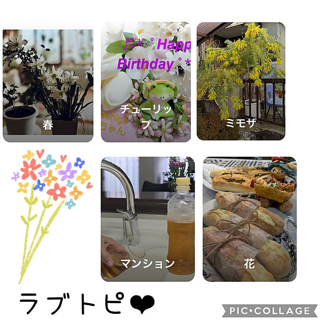 CoCo0617さんの実例写真