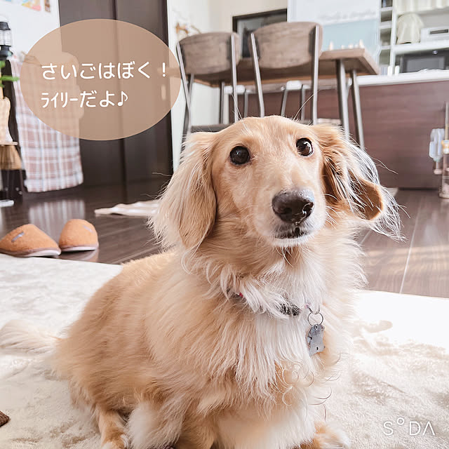 -Riley-mama.-さんの部屋