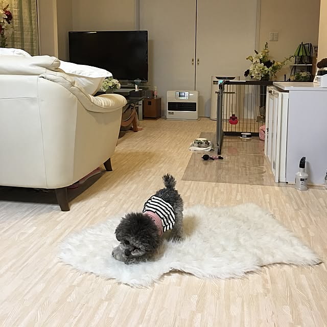 chocomamaさんの実例写真