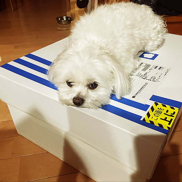emaryさんの実例写真