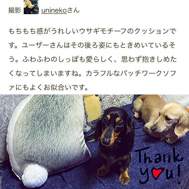 uninekoさんの実例写真