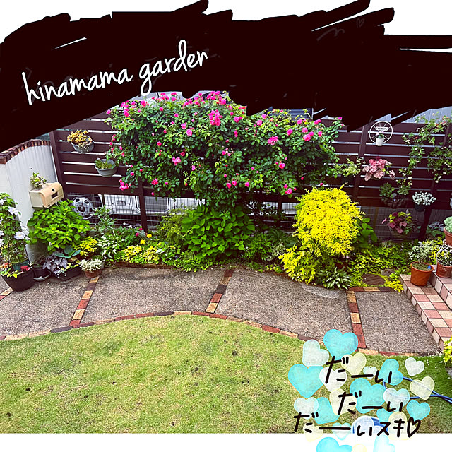 hinamamaさんの部屋