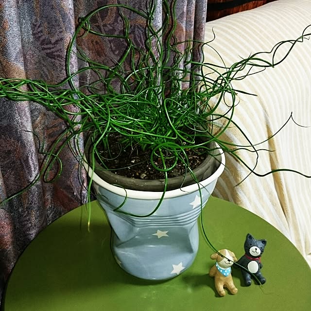 runaさんの実例写真