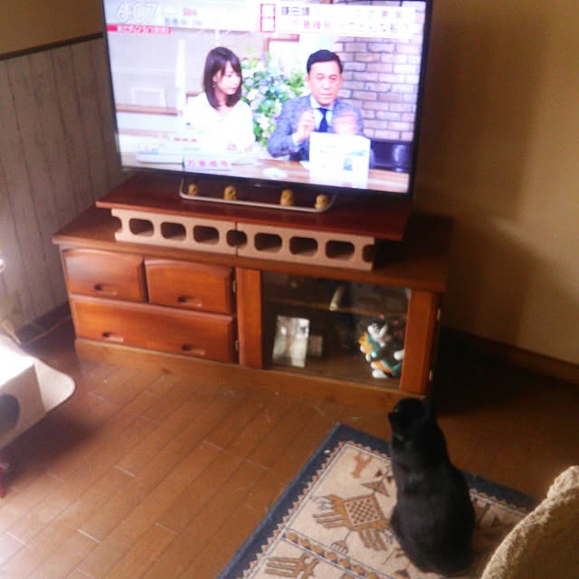 Tomopさんの実例写真