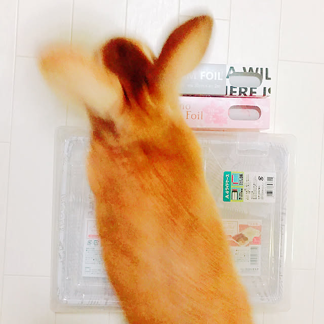 LINAさんの実例写真