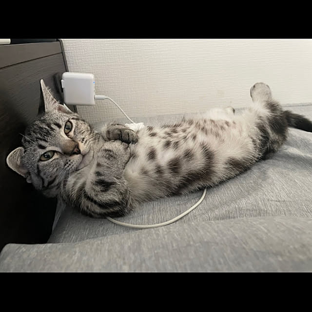 yumiさんの実例写真