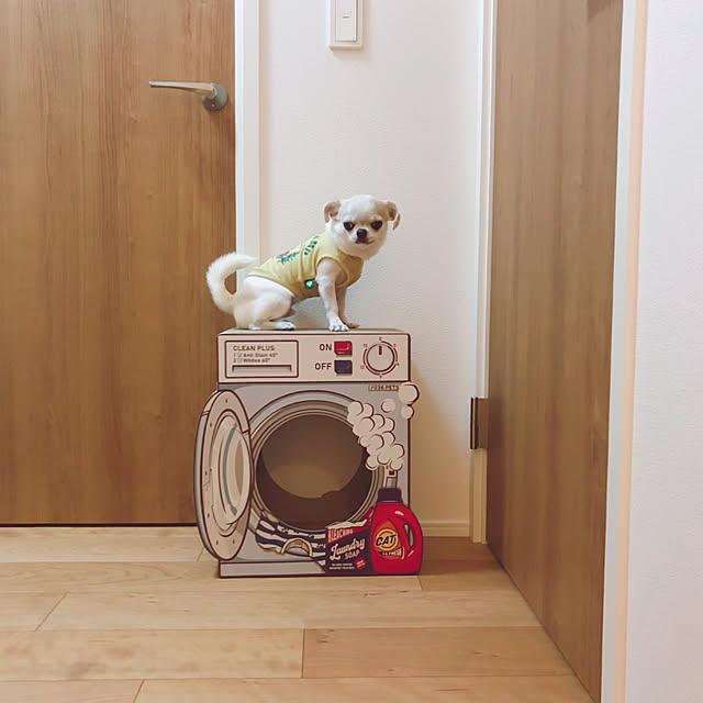 Emiさんの実例写真