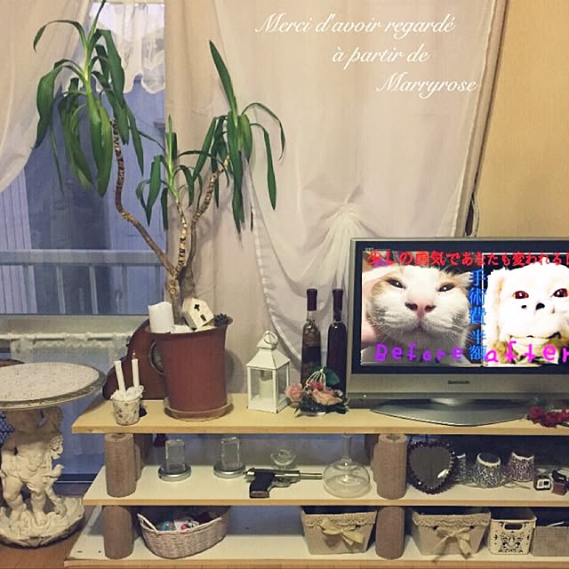 maria.rさんの実例写真