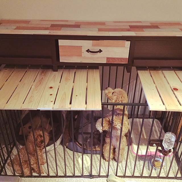 TAKEさんの実例写真