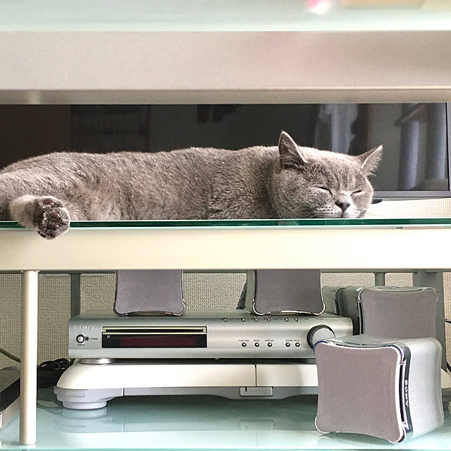 kittyさんの実例写真