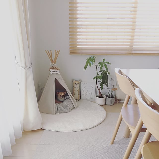 haruhinaさんの実例写真