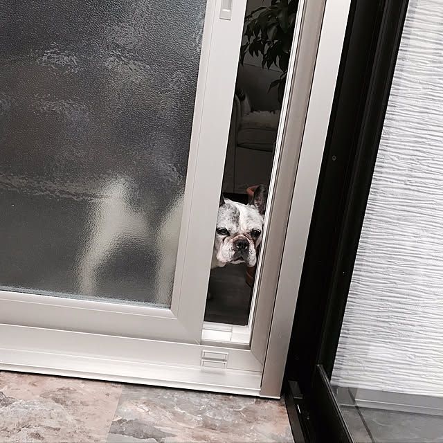 misamariさんの実例写真
