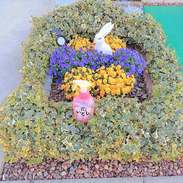 Miyumamaさんの実例写真