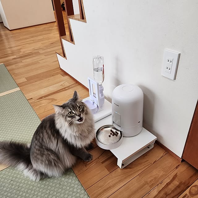 kossyさんの部屋