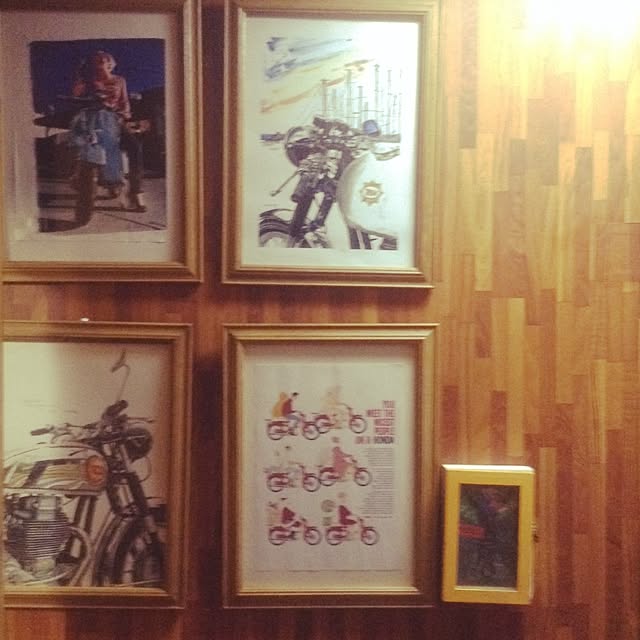 Shinichiroさんの実例写真