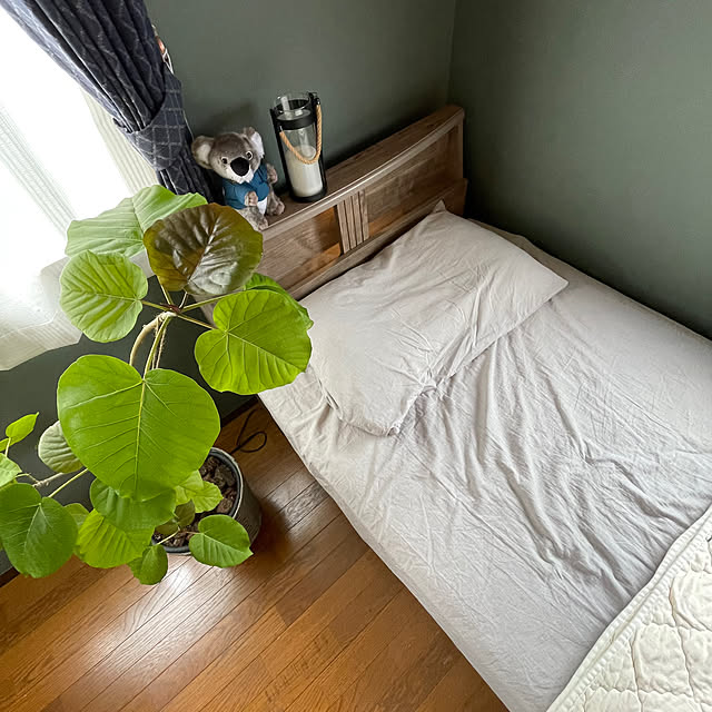 nobikoさんの部屋