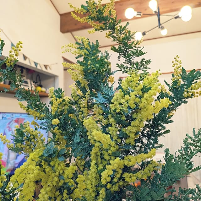 prepreさんの部屋