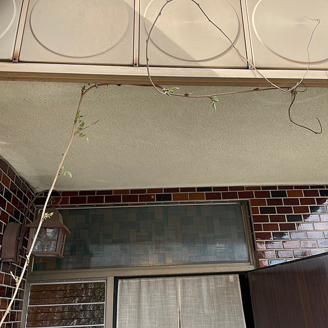 shin0719さんの部屋